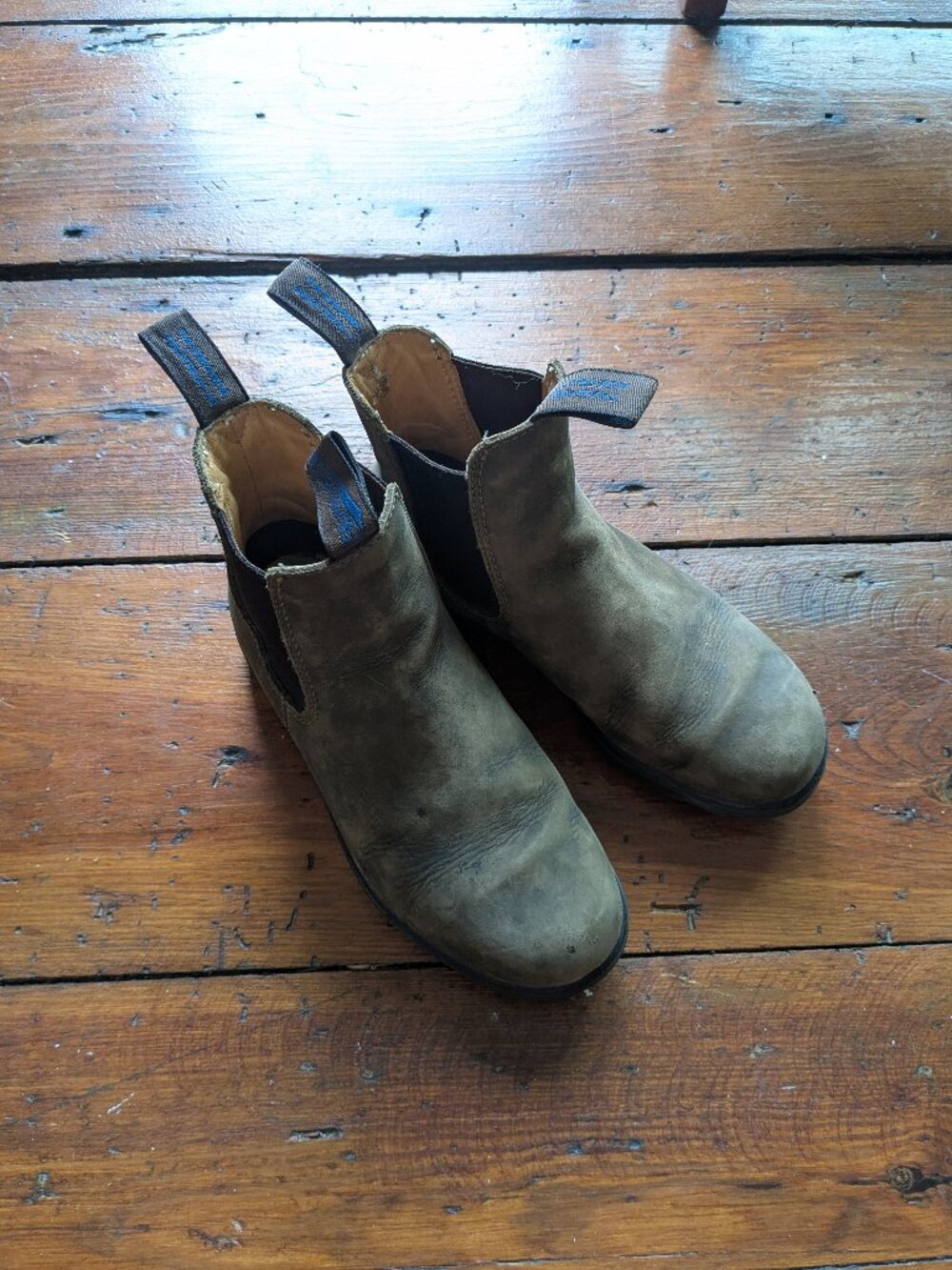 Blundstones Thermal 2223